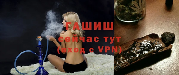 гашик Няндома