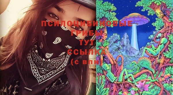 дживик Дмитровск