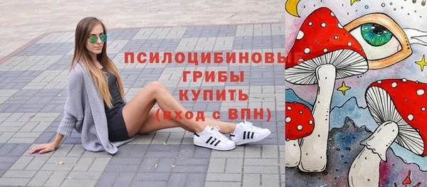 дживик Дмитровск