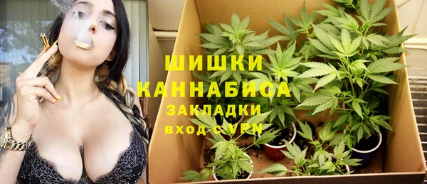 ГАЛЛЮЦИНОГЕННЫЕ ГРИБЫ Магас