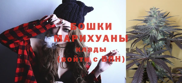 ГАЛЛЮЦИНОГЕННЫЕ ГРИБЫ Майский