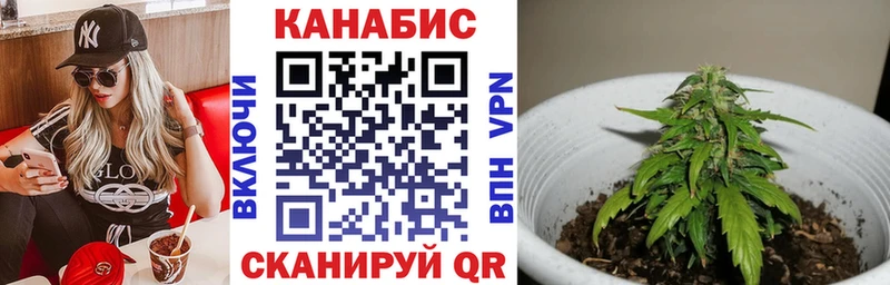 Канабис план  дарнет шоп  Зверево 